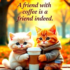 POSHMARK "Q AND A" TUTORIAL ON SUNDAYS AT 1PM! Like This Listing To Be Notified!